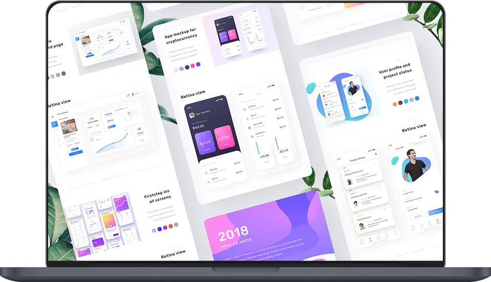 Nuestro crecimiento y experiencia